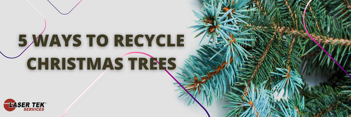 5 Ways To Recycle Christmas Trees